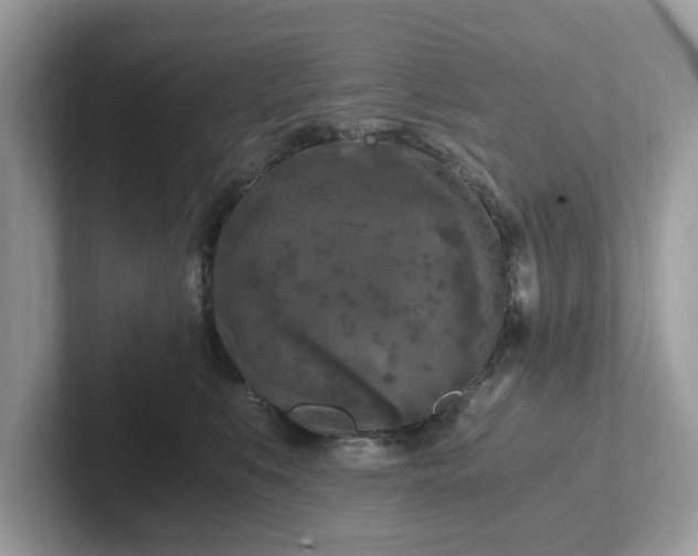 X0000101410519200807211058