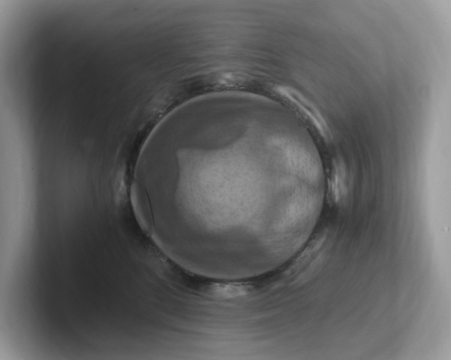 X0000101410520200807211058