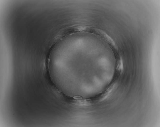 X0000101410524200807211058