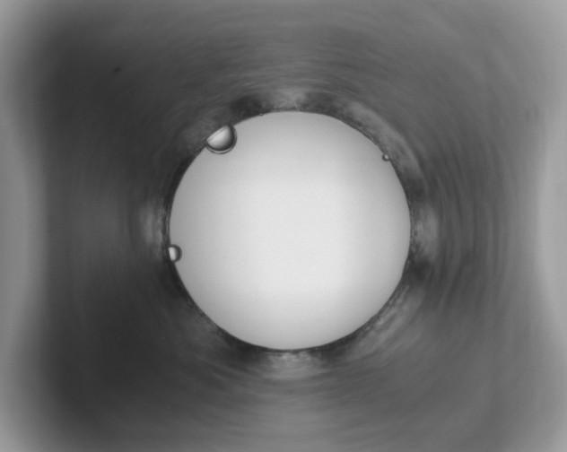 X0000101410525200807211058