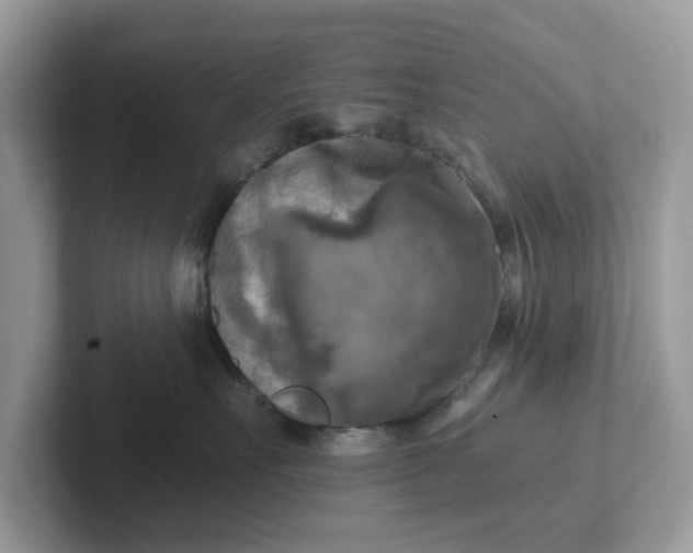 X0000101410527200807211058