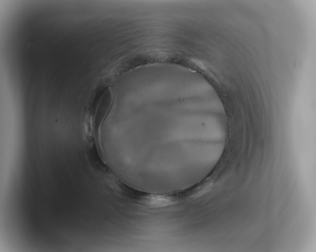 X0000101410528200807211058