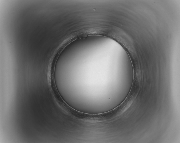 X0000101410530200807211057