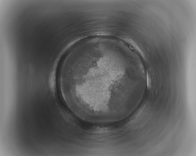 X0000101410531200807211057