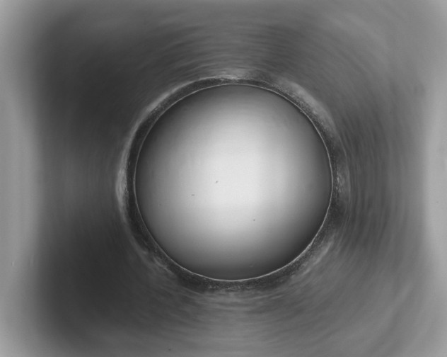 X0000101410532200807211057