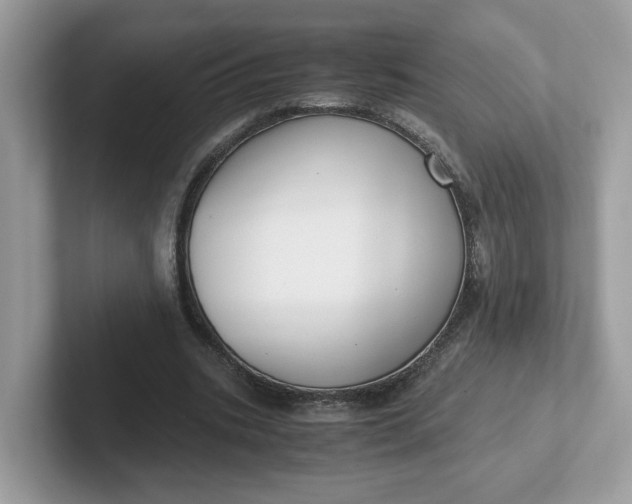 X0000101410535200807211057