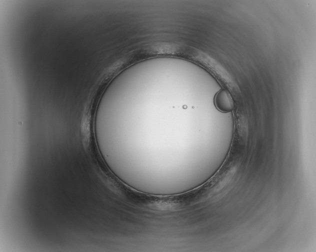 X0000101410537200807211057