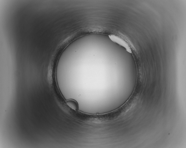 X0000101410538200807211057