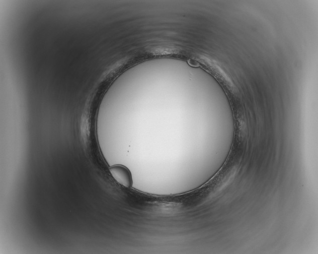 X0000101410539200807211057