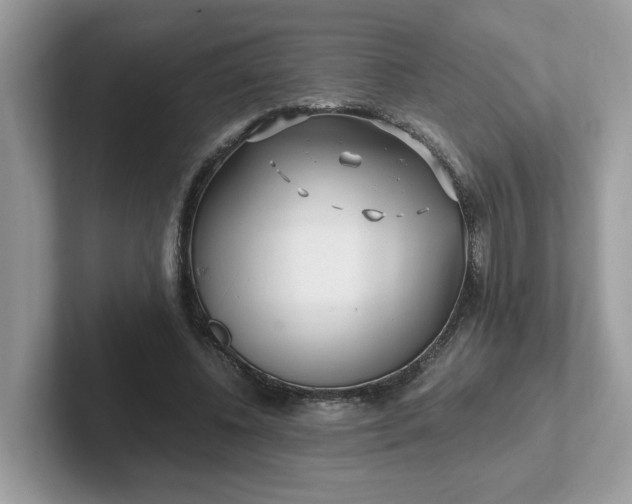 X0000101410540200807211057