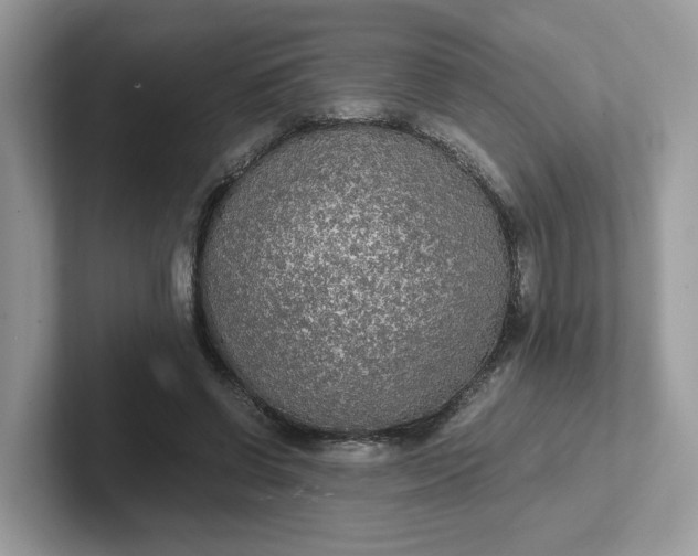 X0000101410542200807211057