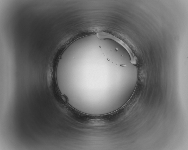 X0000101410544200807211057