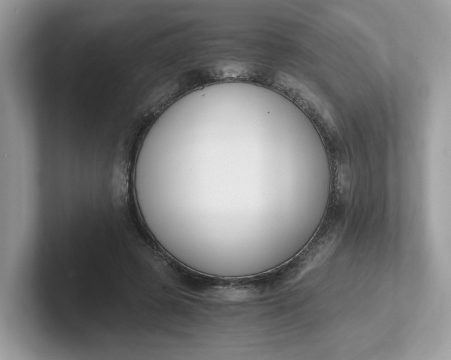 X0000101410545200807211057