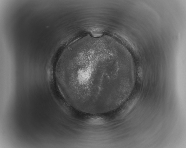 X0000101410547200807211057