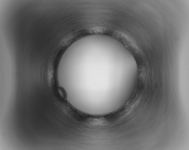 X0000101410548200807211058