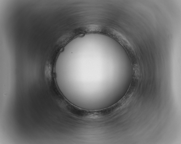 X0000101410550200807211058