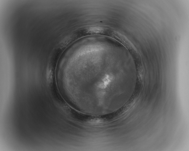 X0000101410551200807211058