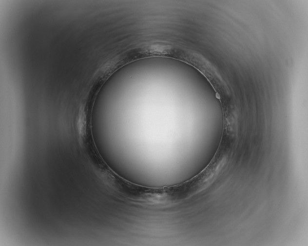 X0000101410552200807211058