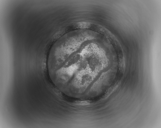 X0000101410553200807211058