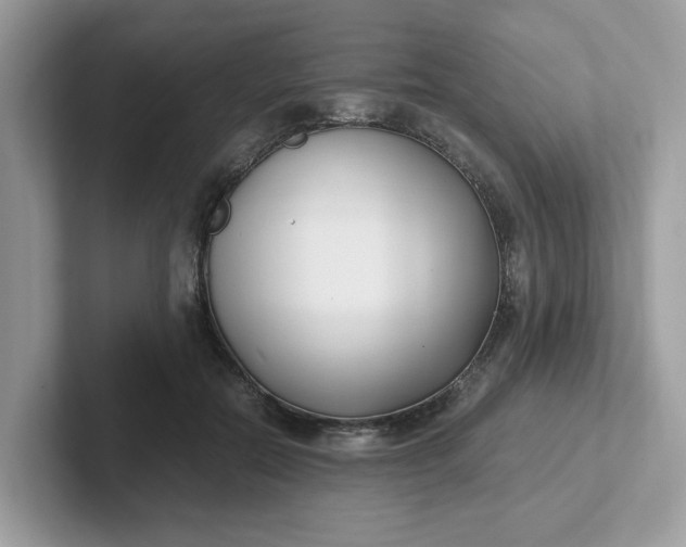 X0000101410554200807211058