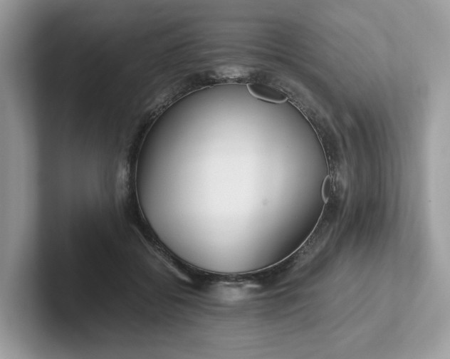 X0000101410556200807211058