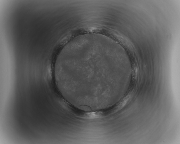 X0000101410558200807211058