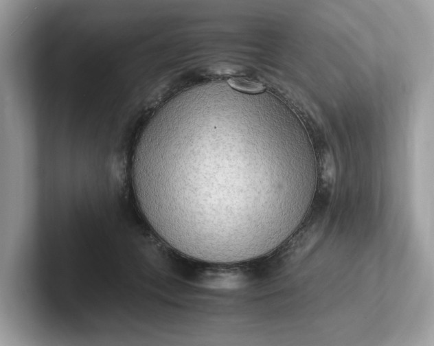 X0000101410559200807211058