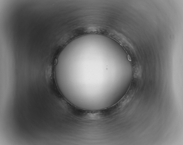 X0000101410560200807211058