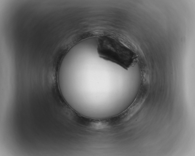 X0000101410561200807211058