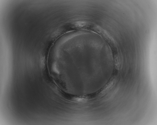 X0000101410563200807211058