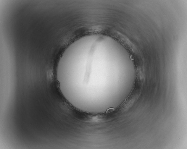 X0000101410564200807211058