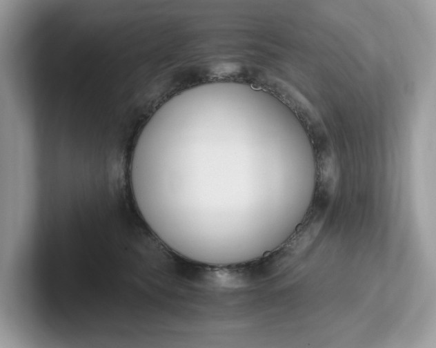 X0000101410565200807211058