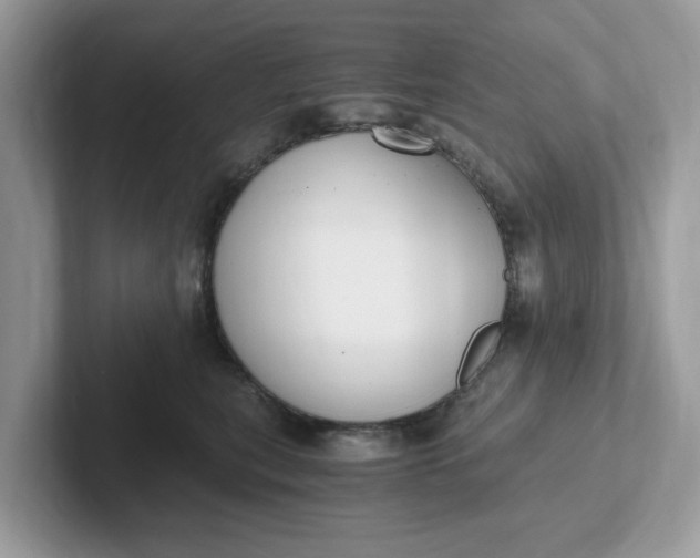 X0000101410567200807211058