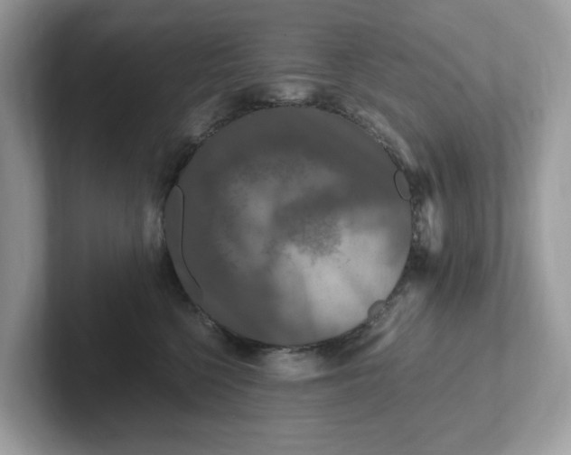 X0000101410568200807211058