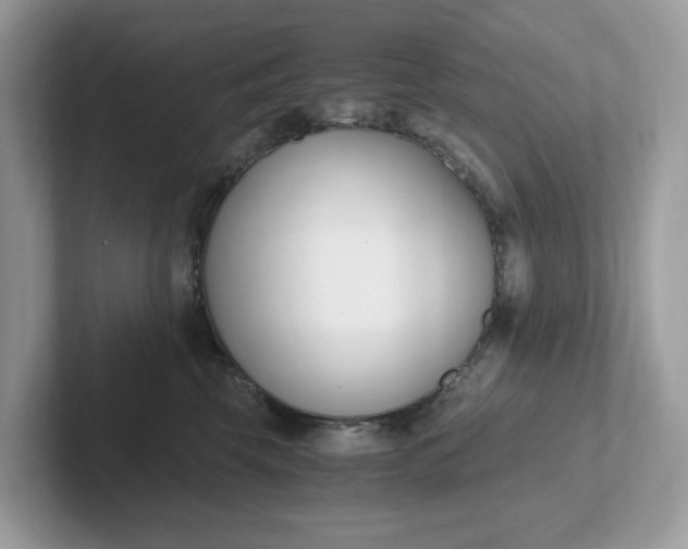 X0000101410569200807211058