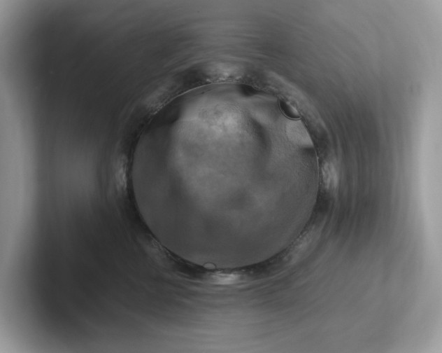 X0000101410570200807211058