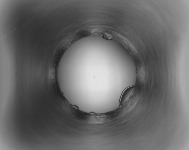 X0000101410571200807211058