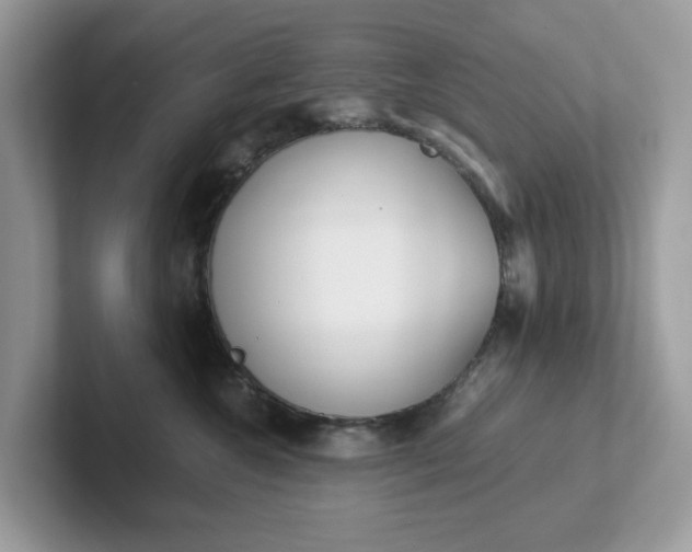 X0000101410572200807211058