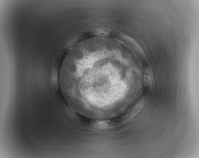 X0000101410573200807211058