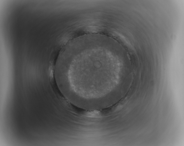 X0000101410576200807211058