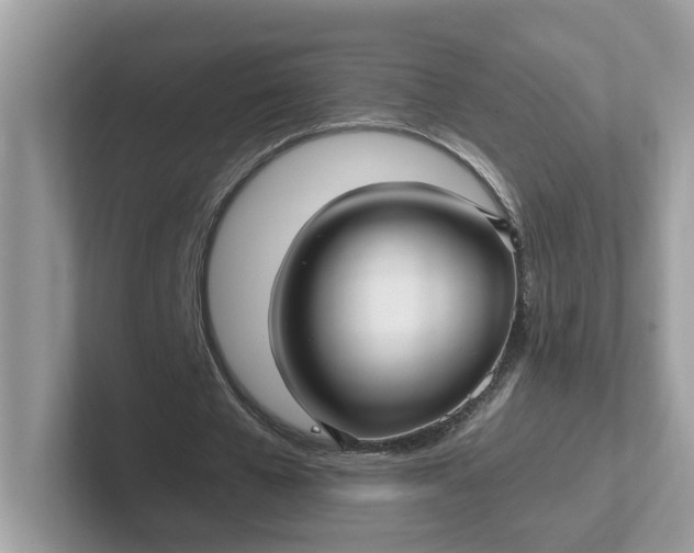 X0000101410577200807211057