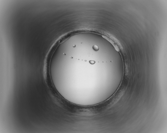 X0000101410580200807211057