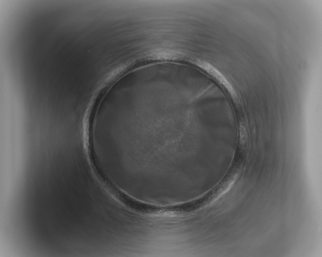 X0000101410581200807211057