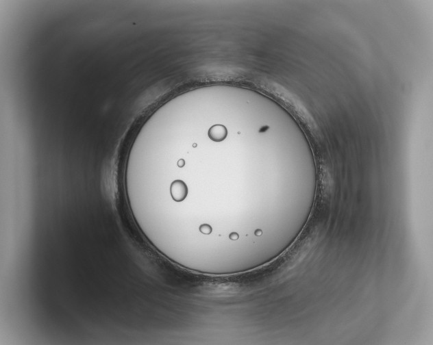 X0000101410582200807211057