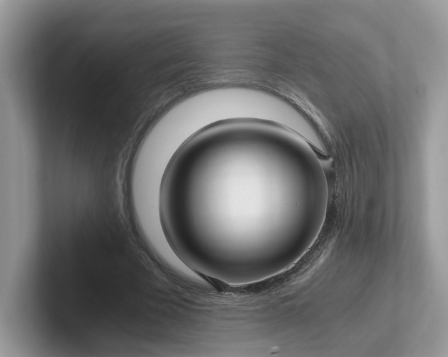 X0000101410585200807211057