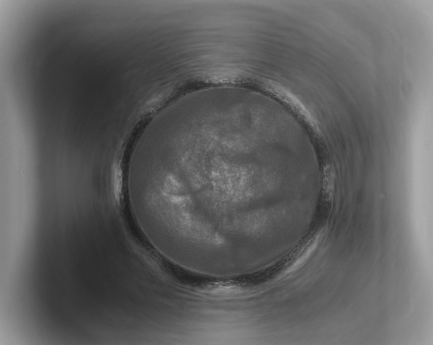 X0000101410589200807211057