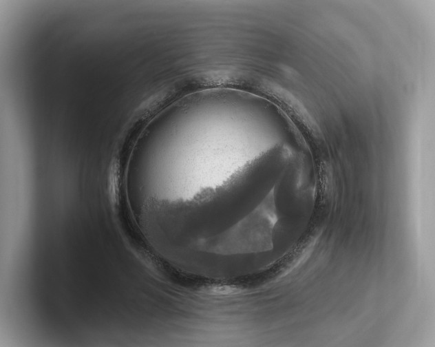 X0000101410590200807211057