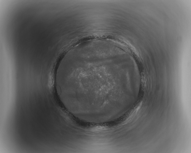 X0000101410593200807211057