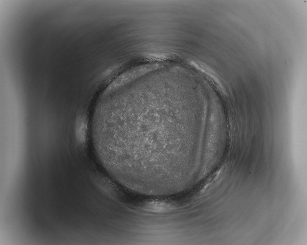 X0000101410596200807211057