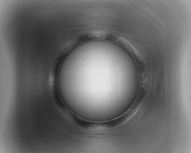 X0000101410597200807211057